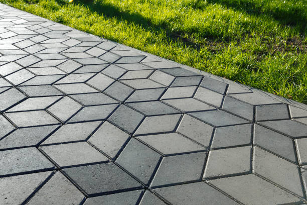 Best Professional Driveway Pavers  in Cactus, TX