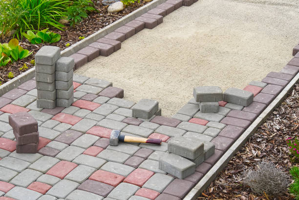 Best Local Driveway Pavers  in Cactus, TX
