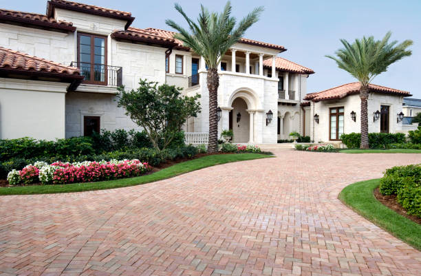 Best Driveway Paving Contractor  in Cactus, TX